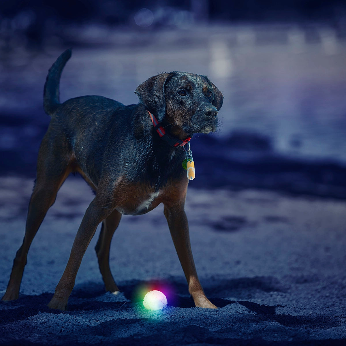 Nite Ize GlowStreak LED Ball - Disc-O