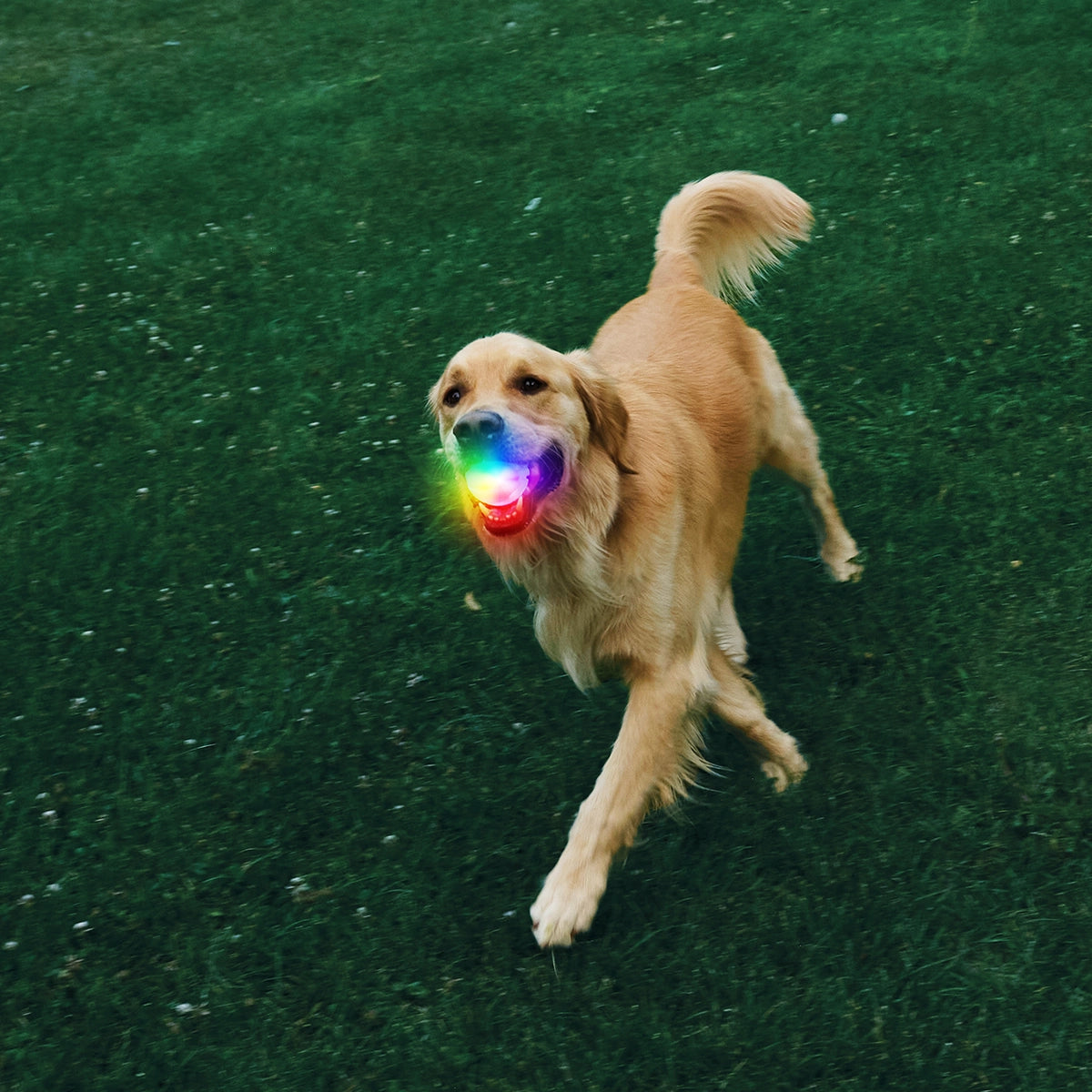 Nite Ize GlowStreak® Rechargeable LED Ball - Disc-O
