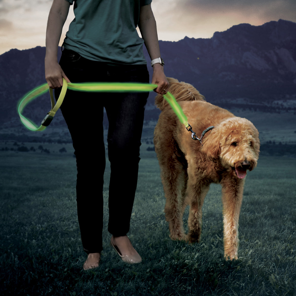 Nite Ize NiteDog Rechargeable LED Leash Lime Green LED