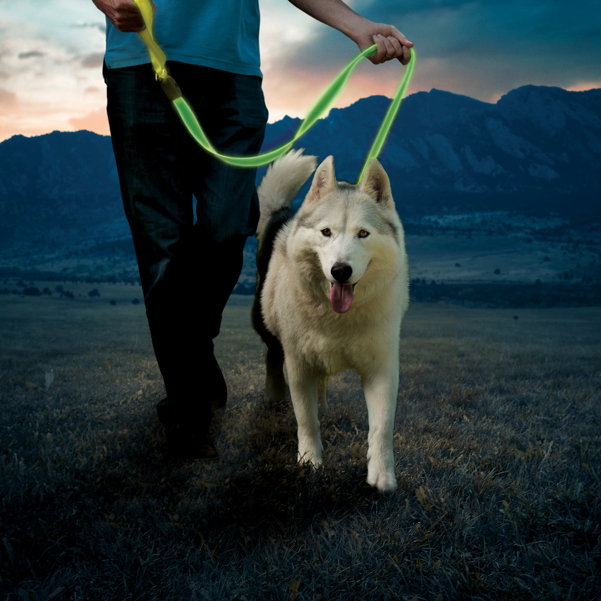 Nite Ize NiteDog Rechargeable LED Leash Lime Green LED
