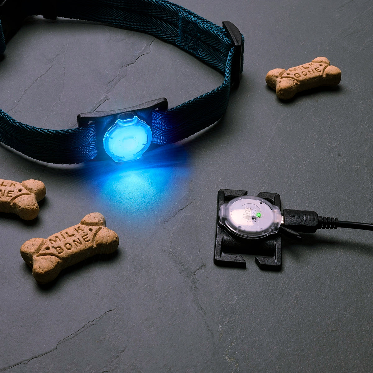 Nite Ize NiteDog™ Rechargeable Pet Light - Disc-O Tech™