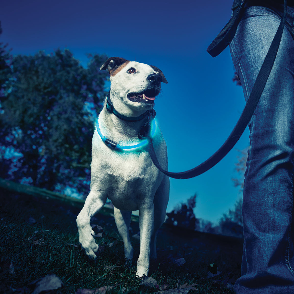 Nite Ize NiteHowl LED Safety Necklace - Blue