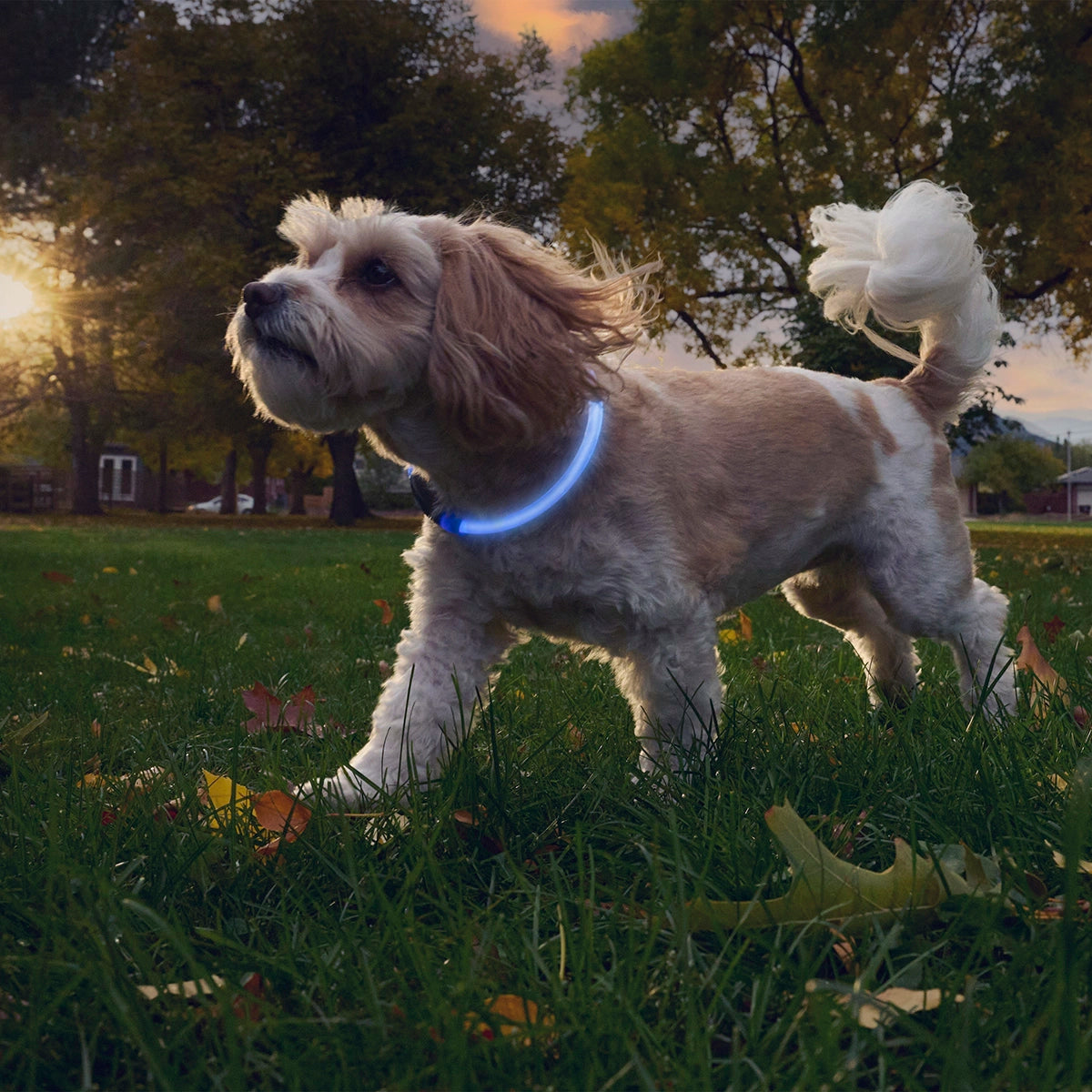Nite Ize NiteHowl® Rechargeable LED Safety Necklace - Blue