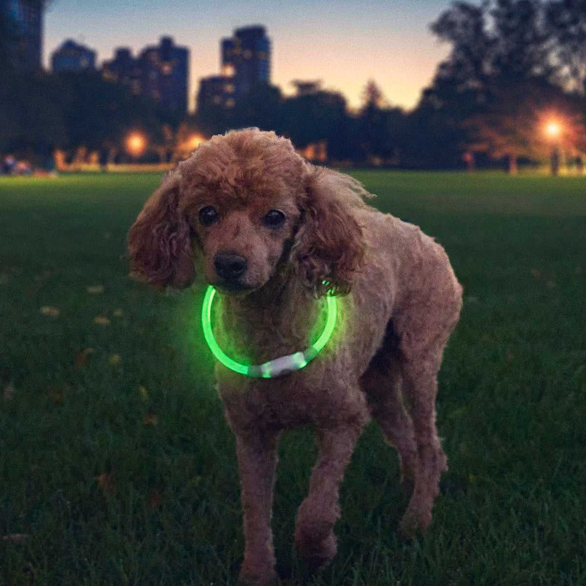 Nite Ize NiteHowl® Rechargeable LED Safety Necklace - Green
