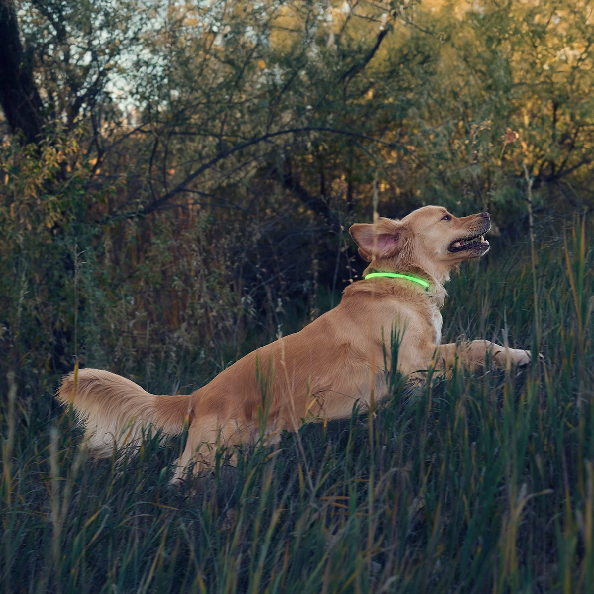Nite Ize NiteHowl® Rechargeable LED Safety Necklace - Green