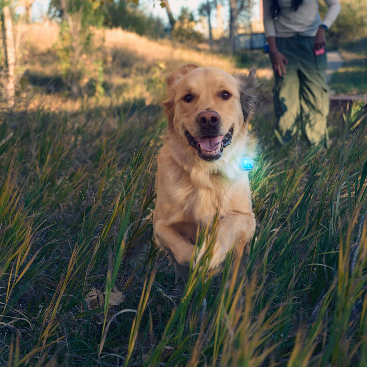 Nite Ize SpotLit® Rechargeable Collar Light - Blue