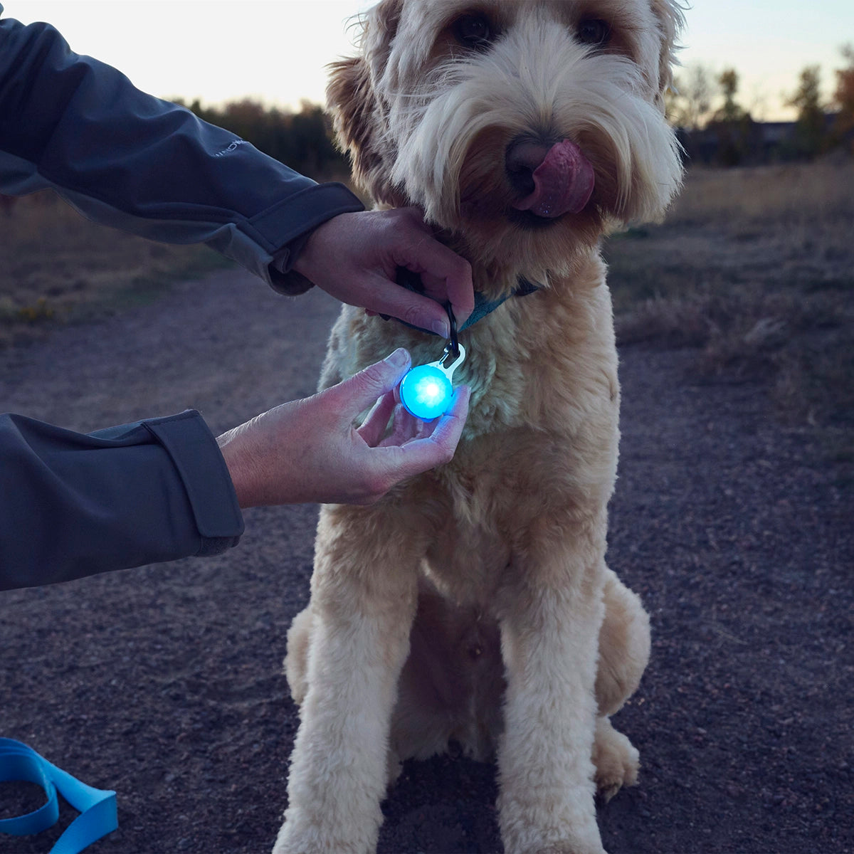 Nite Ize SpotLit® Rechargeable Collar Light - Blue