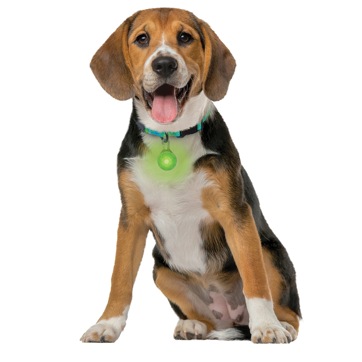 Nite Ize SpotLit® Rechargeable Collar Light - Green