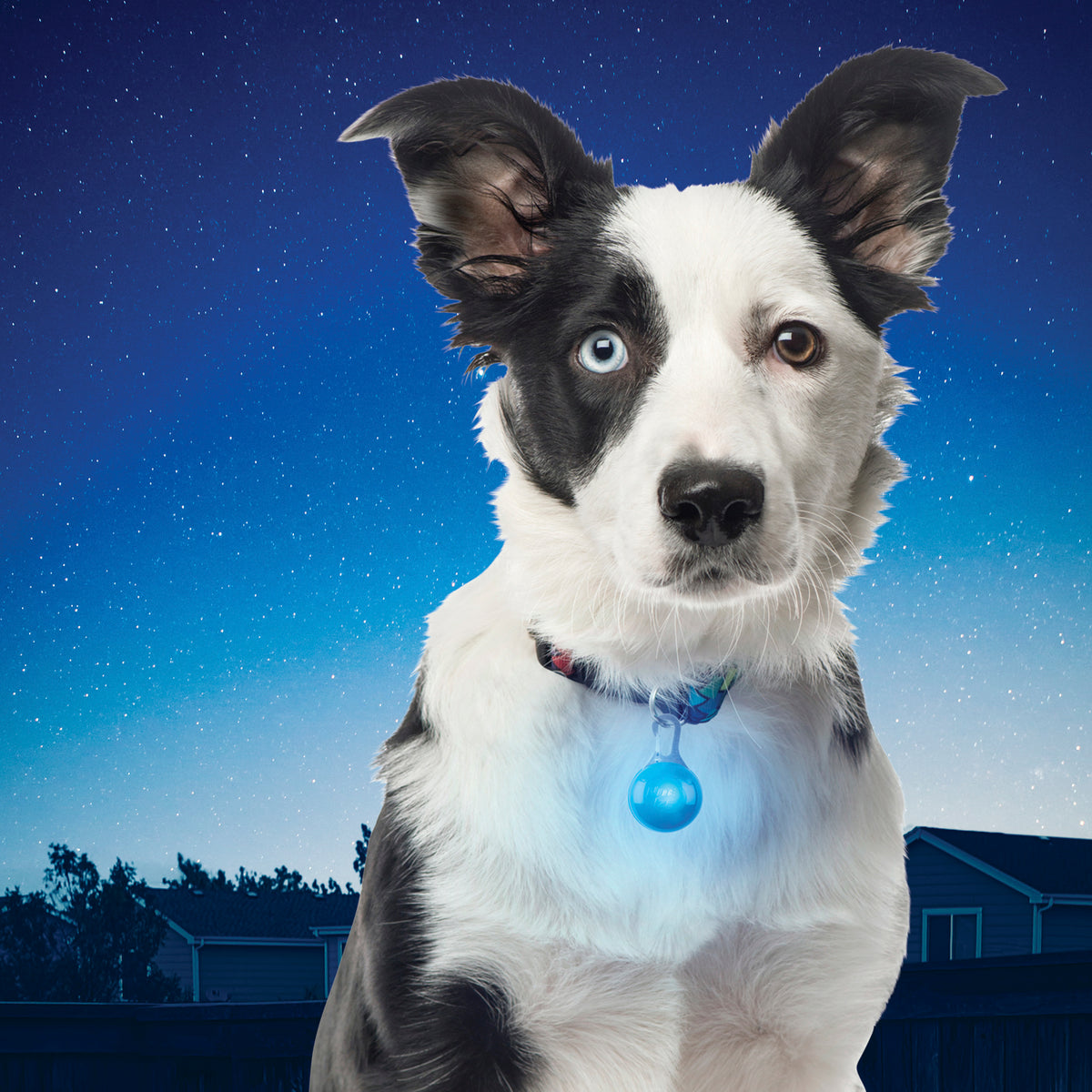 Nite Ize SpotLit Collar Light - Blue