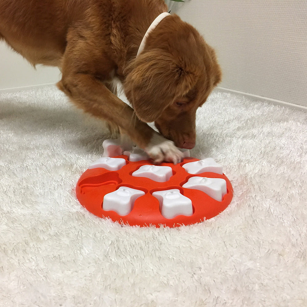 Nina Ottosson Dog Smart Interactive Treat Dog Puzzle Toy Orange Level 1