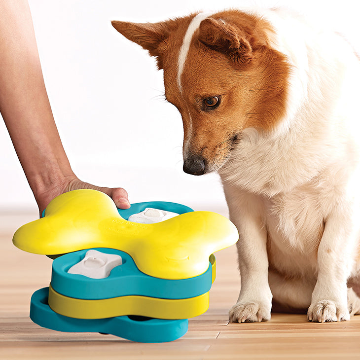 Nina Ottosson Dog Tornado Interactive Treat Dog Puzzle Toy Blue/Yellow Level 2