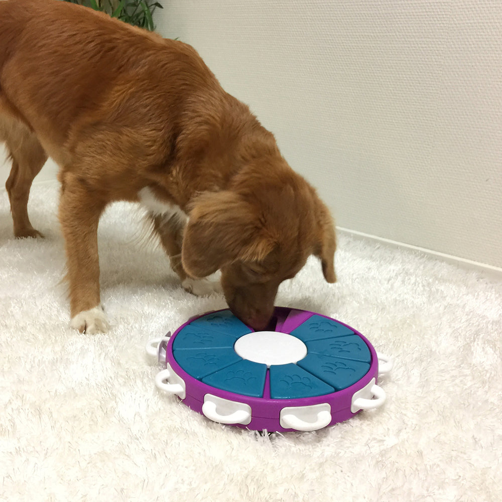 Nina Ottosson Dog Twister Interactive Treat Dog Puzzle Toy Purple Level 3