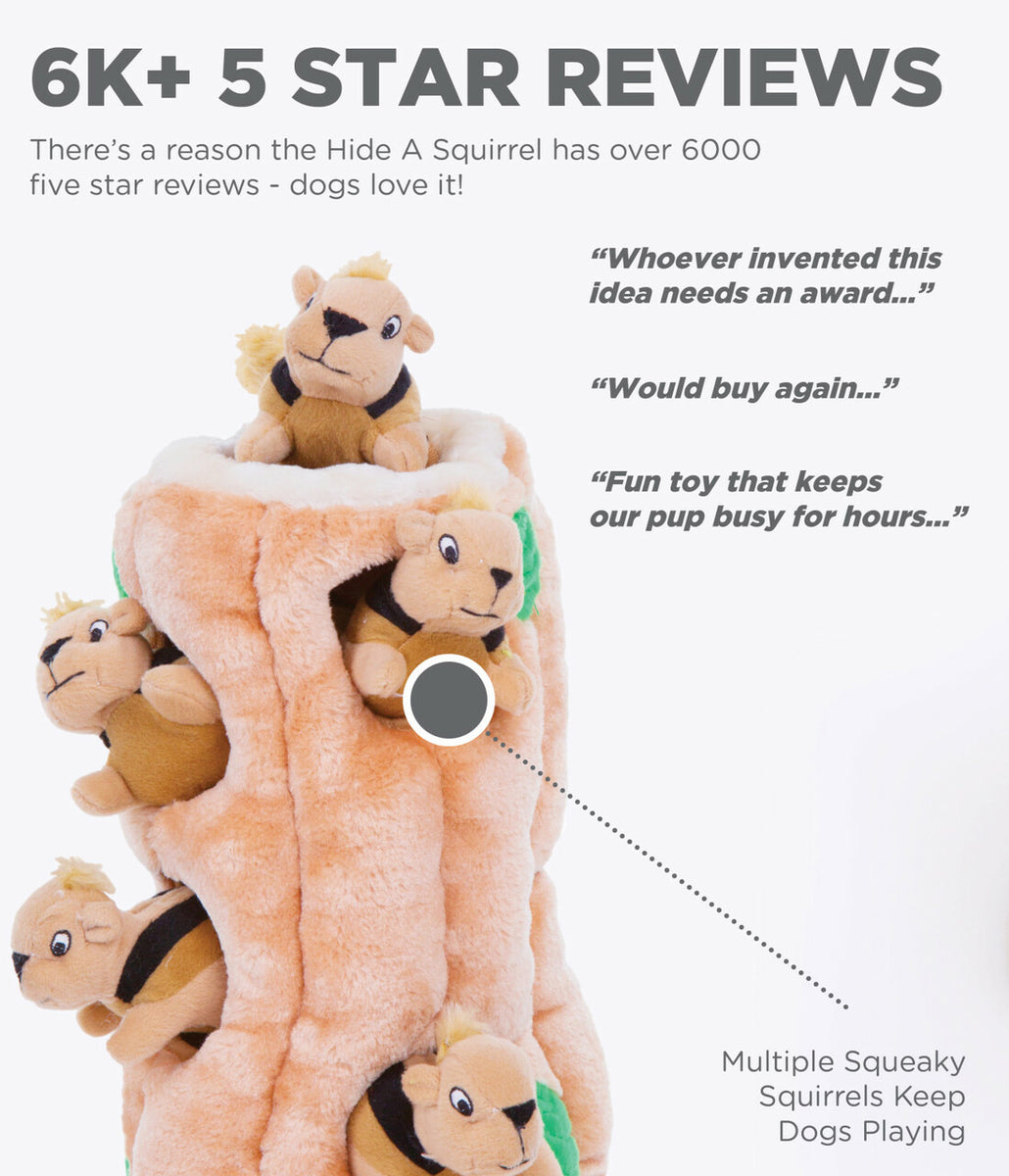 Outward Hound Hide A Squirrel Plush Dog Puzzle Toy Brown Small