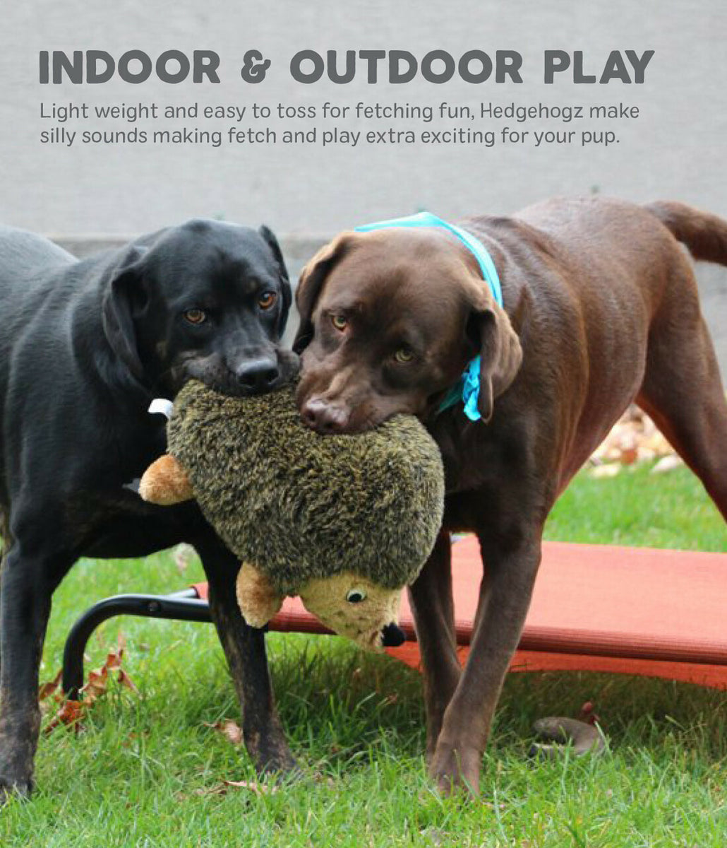 Outward Hound Hedgehogz Brown Plush Dog Toy Large