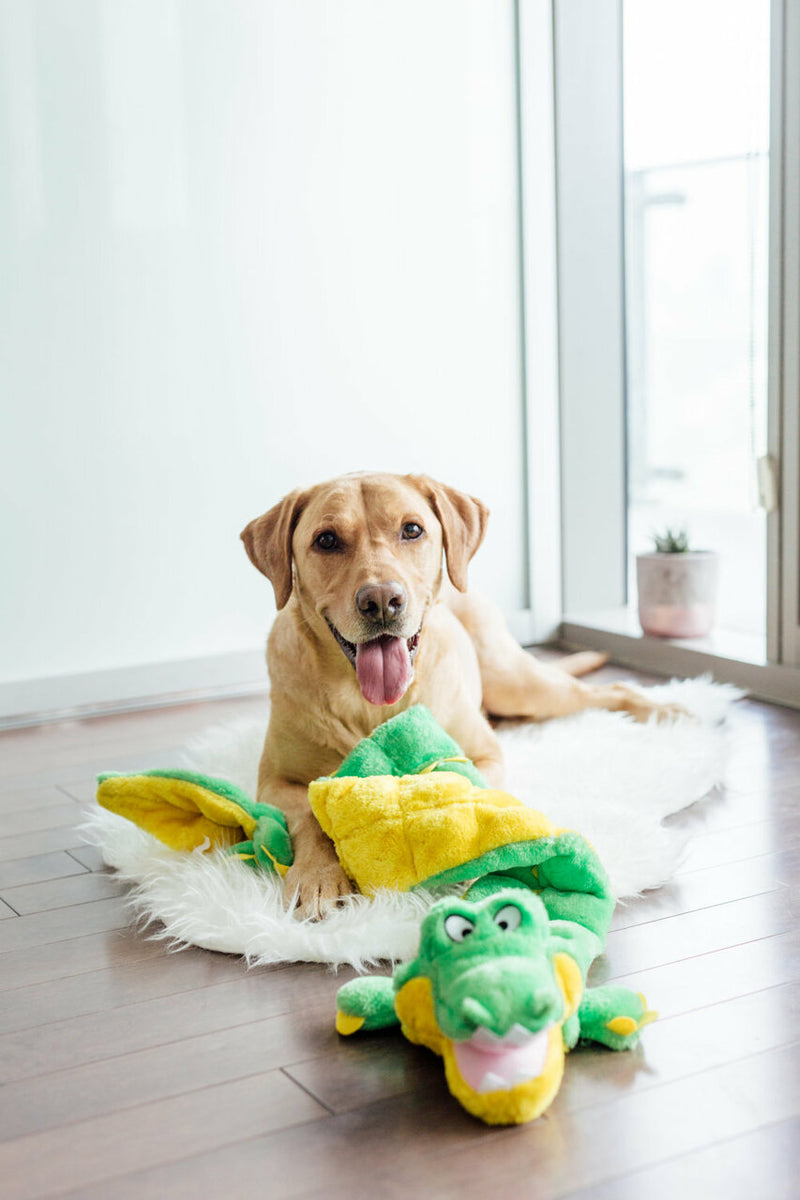 Outward Hound Squeaker Matz Gator Plush Dog Toy Green XXL