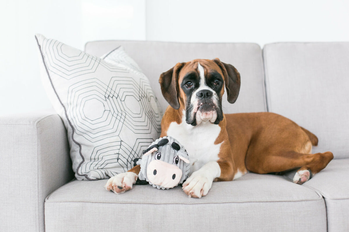 Outward Hound Fattiez Cow Plush Dog Toy Gray Medium