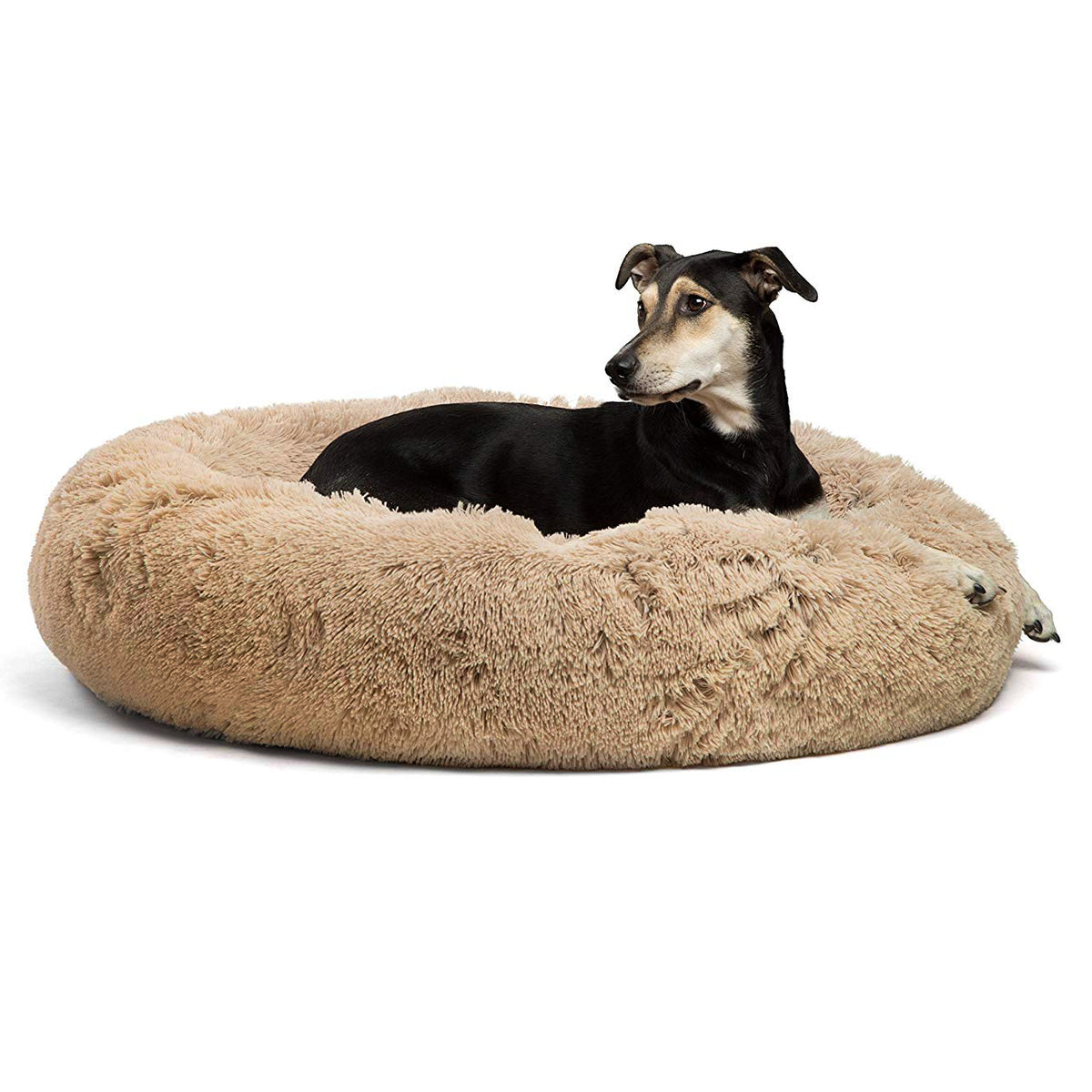 Best Friends by Sheri Donut Shag Taupe 36x36
