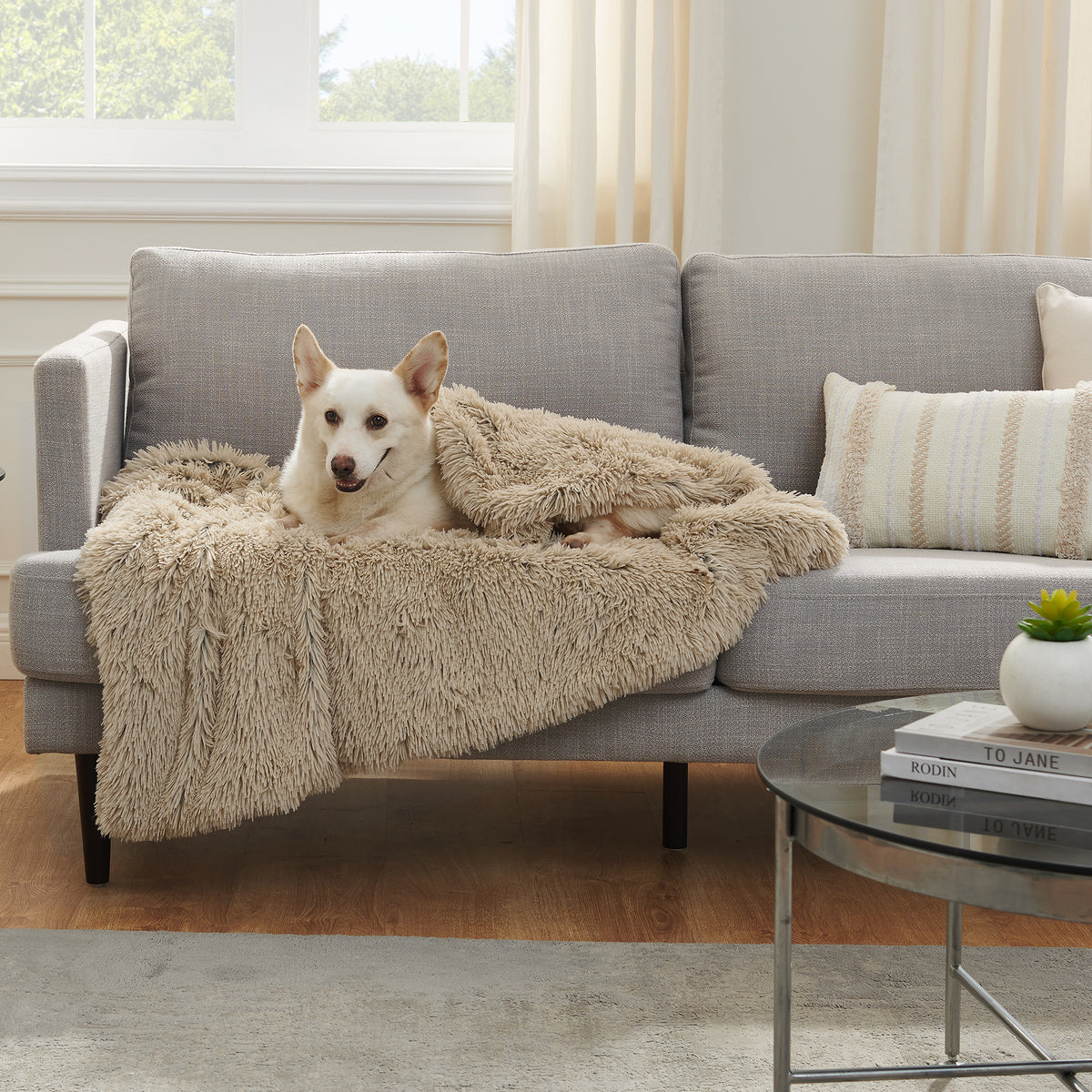 Best Friends by Sheri Blanket Shag Taupe 40x50