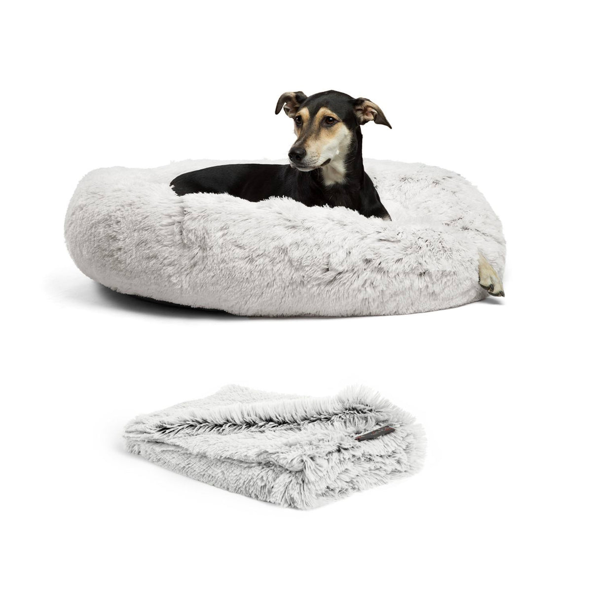 Donut Shag Bundle Bed and Blanket Frost 36"x36"