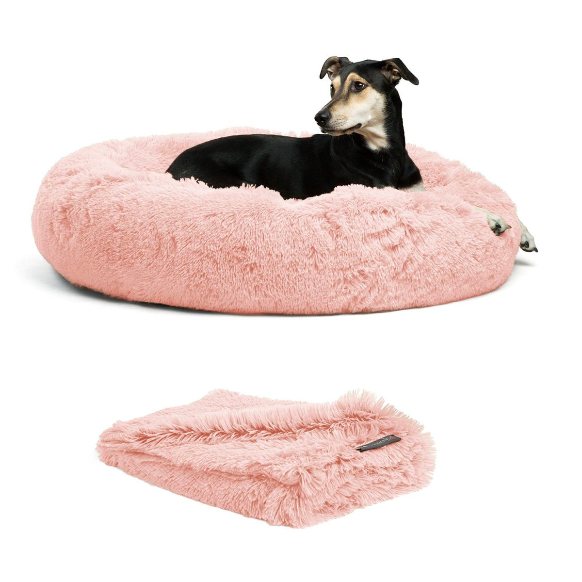 Donut Shag Bundle Bed and Blanket Candy Pink 36"x36"