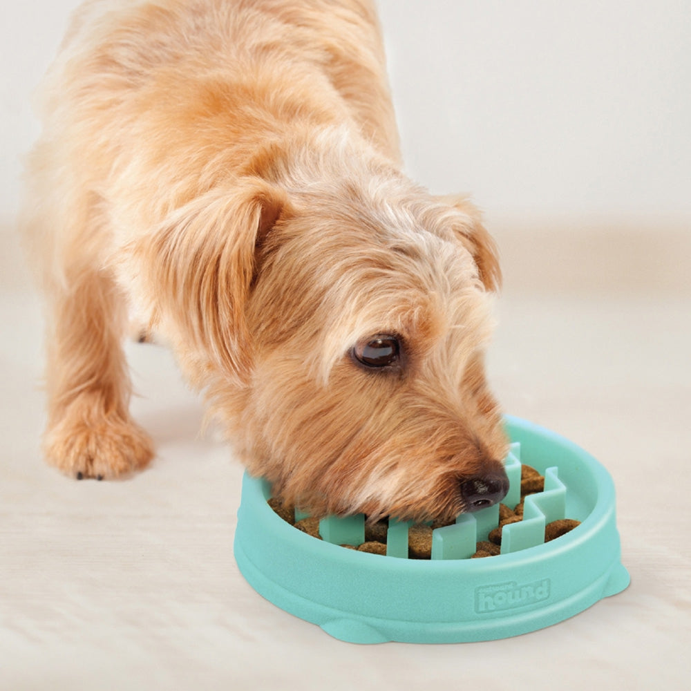 Outward Hound Fun Feeder Wave Mint Small