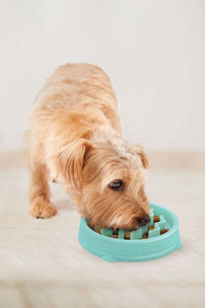 Outward Hound Fun Feeder Wave Mint Small