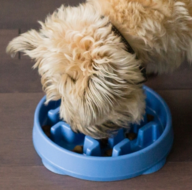 Outward Hound Fun Feeder Slo Bowl Dog Feeder Blue Small
