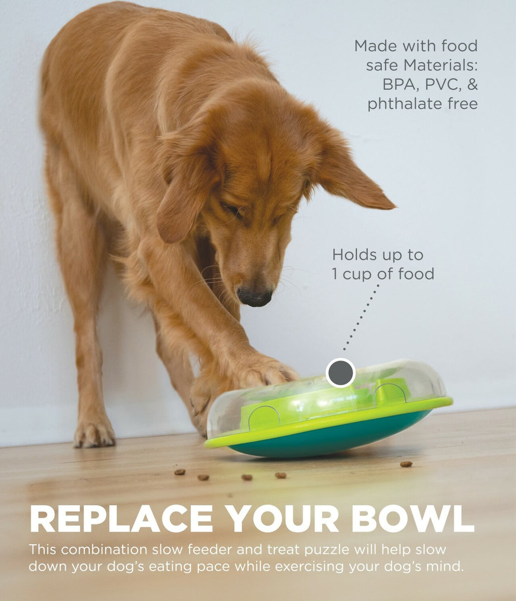Nina Ottosson Wobble Slow Feeder Bowl Dog Game Blue/Green Level 1