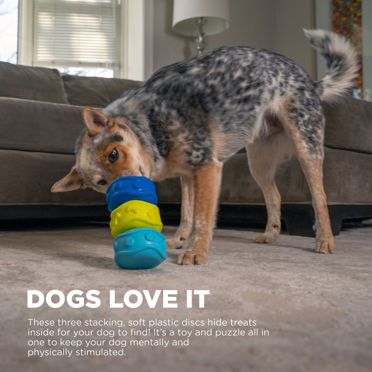 Outward Hound Treat Locking Discs Dog Treat Dispenser Toy Multicolor