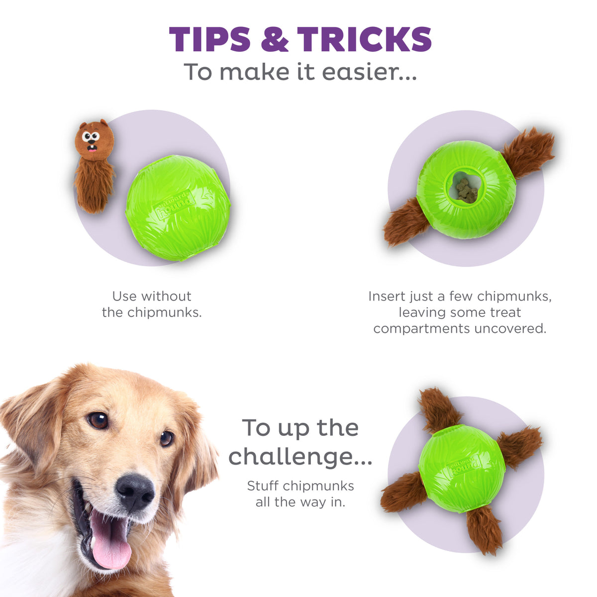 Nina Ottosson Snuffle N' Treat Ball TNT Dog Puzzle Toy Green Small