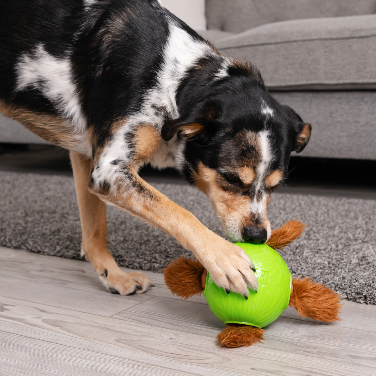 Nina Ottosson Snuffle N' Treat Ball TNT Dog Puzzle Toy Green Small