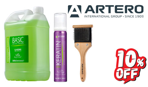 10% OFF ARTERO