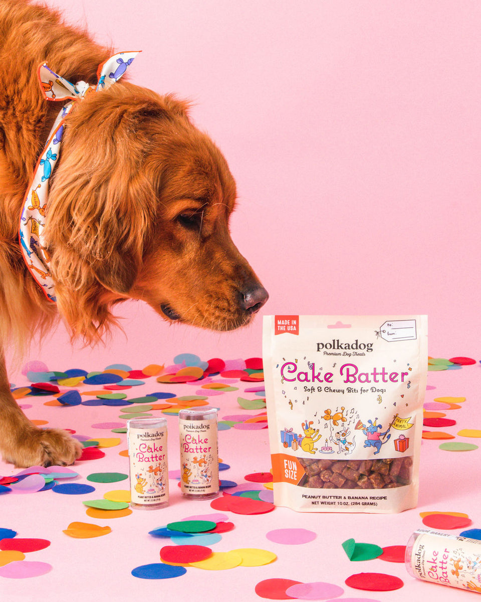 Polkadog Cake Batter Peanut Butter and Banana Soft & Chewy Dog Treats 10oz