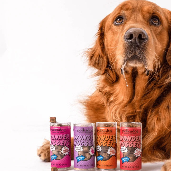 Polkadog Wonder Nuggets Training Bits Pork & Apple Soft & Chewy Dog Treats Mini Tube 2.5oz