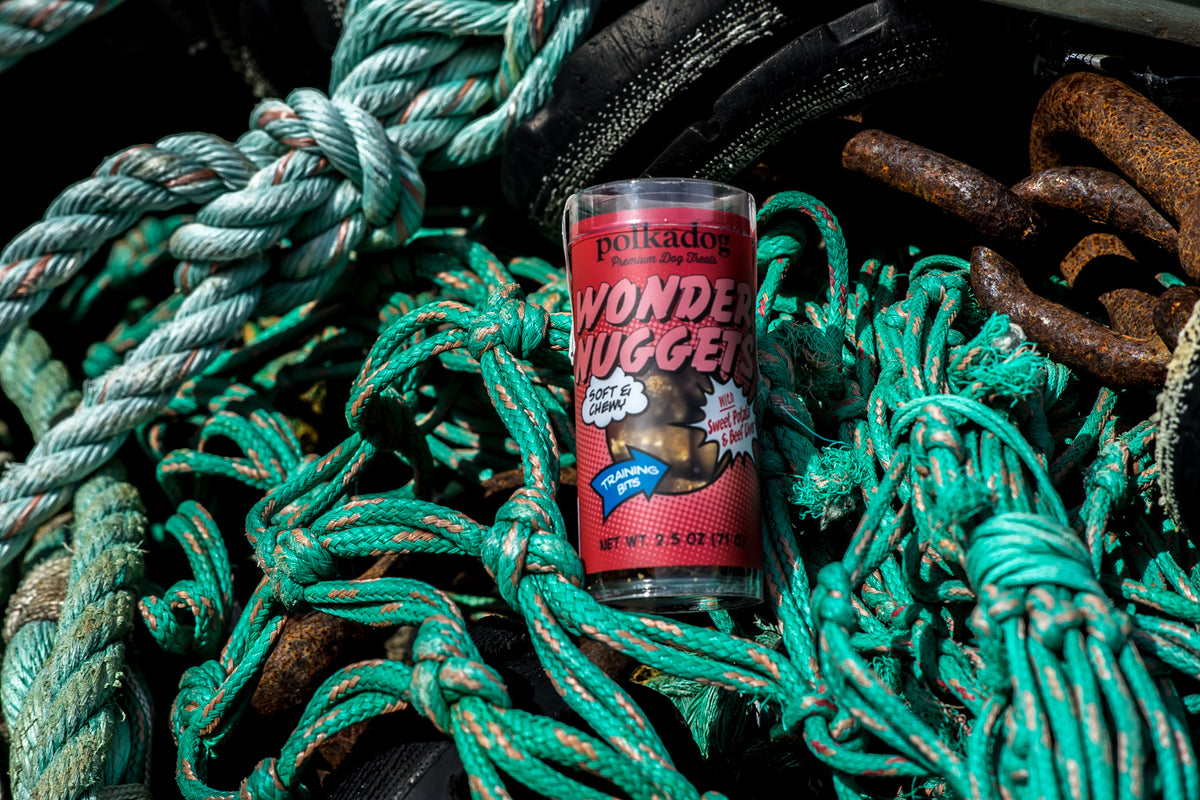 Polkadog Wonder Nuggets Training Bits Sweet Potato & Beef Liver Soft & Chewy Dog Treats Mini Tube 2.5oz