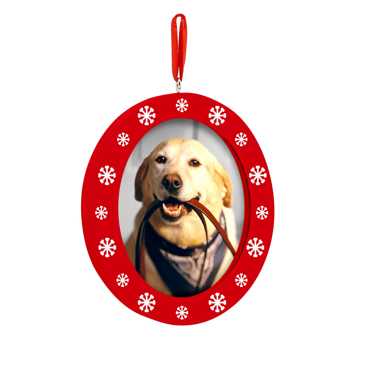 Pearhead Double Sided Photo/Ink Ornament