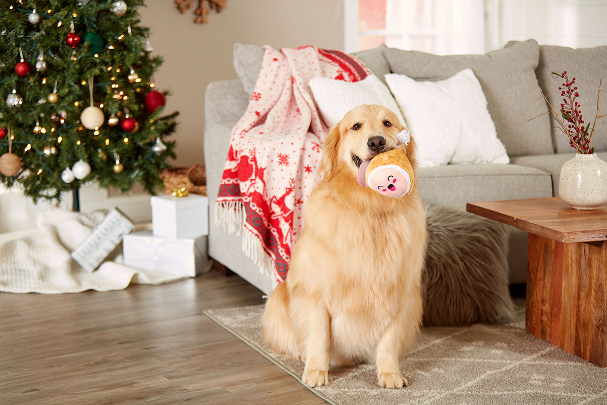 Pearhead M.C. Hammy Plush Dog Toy