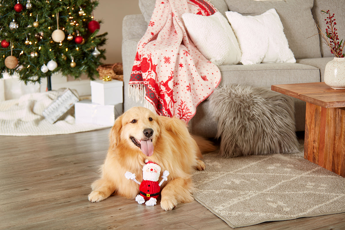Pearhead Real Santa Claus Dog Toy