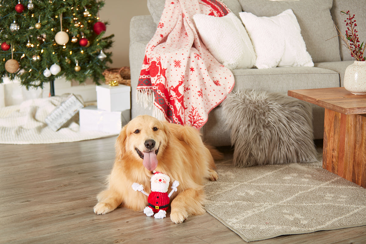 Pearhead Real Santa Claus Dog Toy