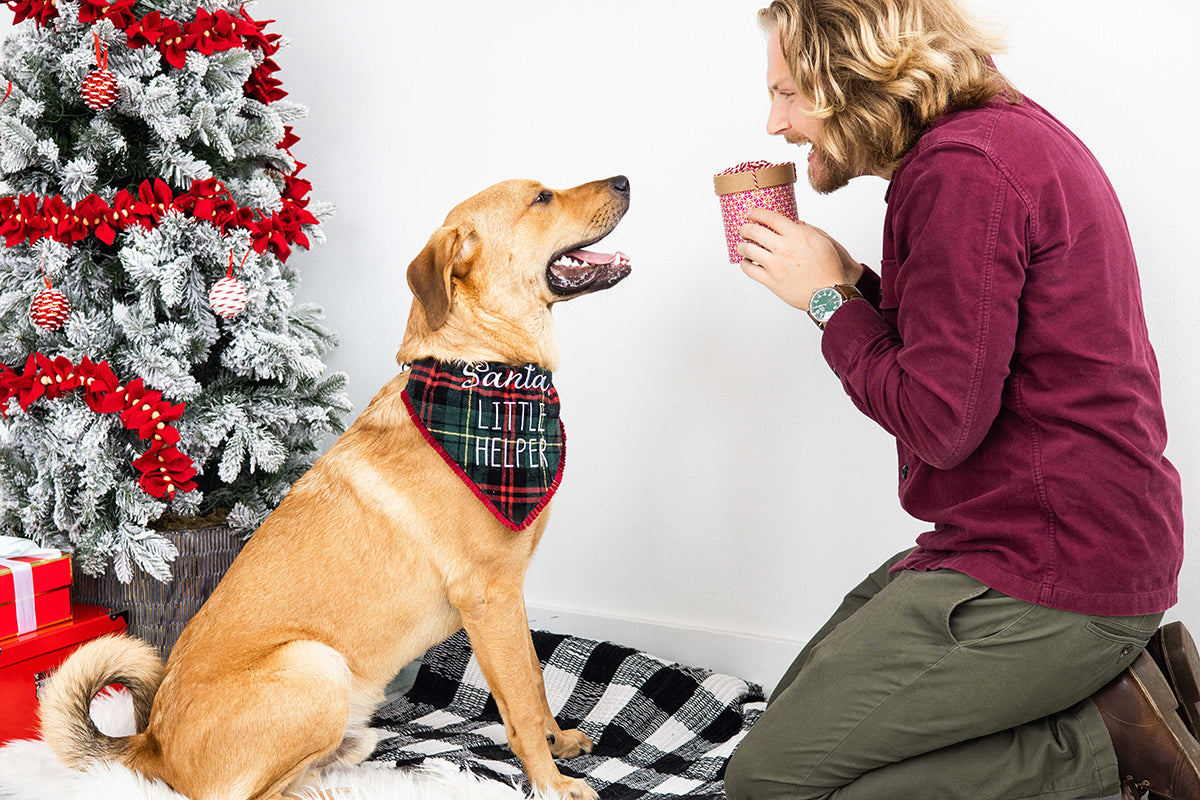 Pearhead "Santa's Little Helper" Bandana