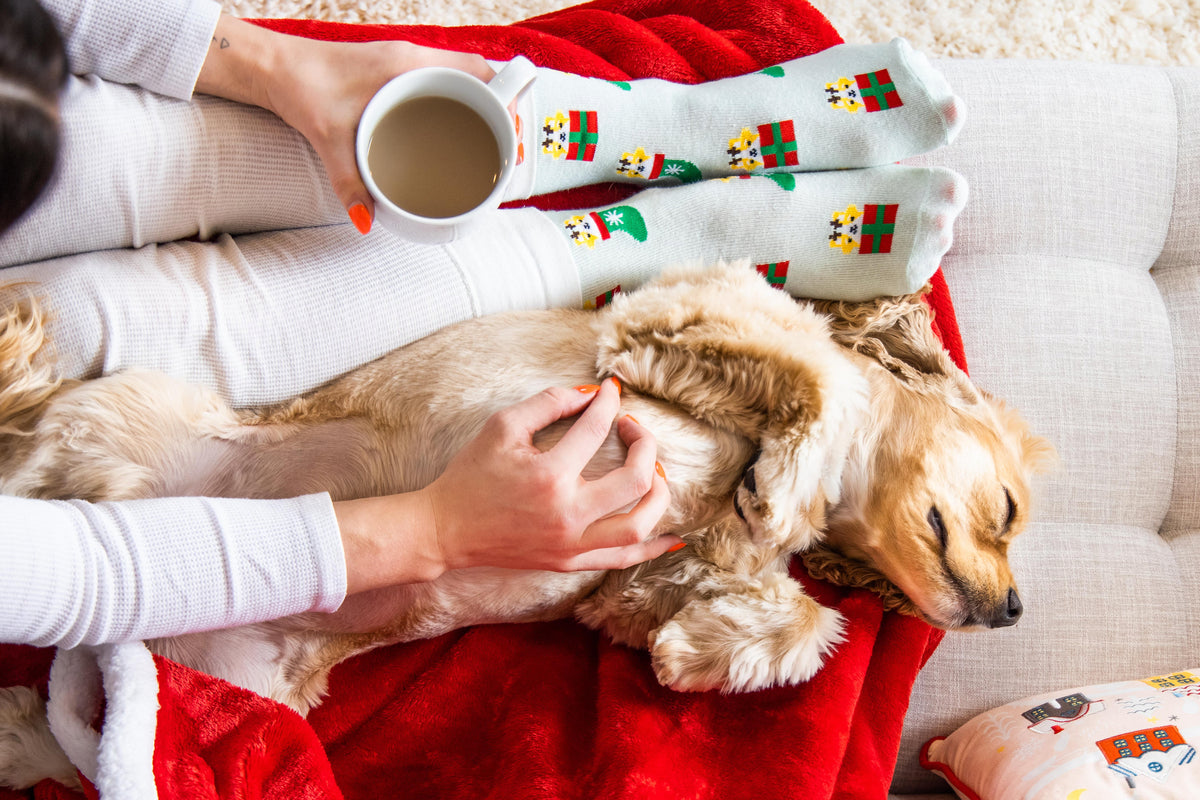 Pearhead Corgi Holiday Socks Green One Size