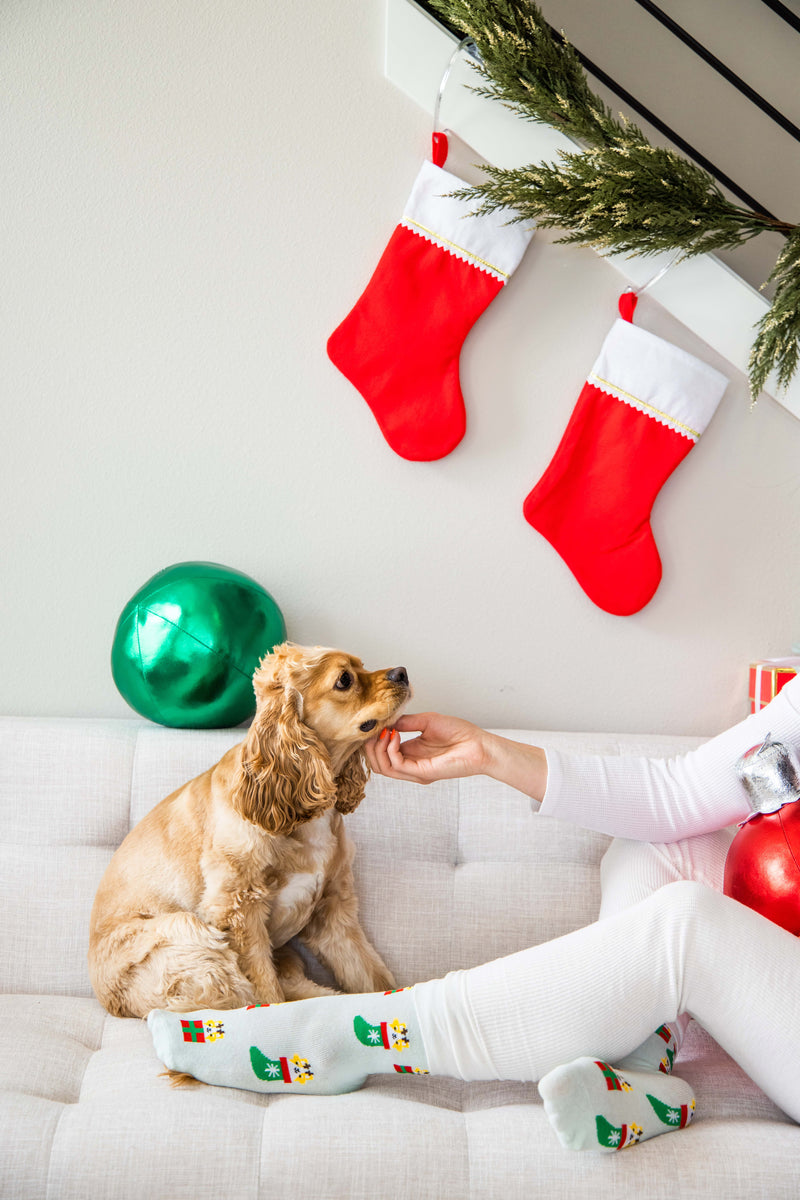 Pearhead Corgi Holiday Socks Green One Size