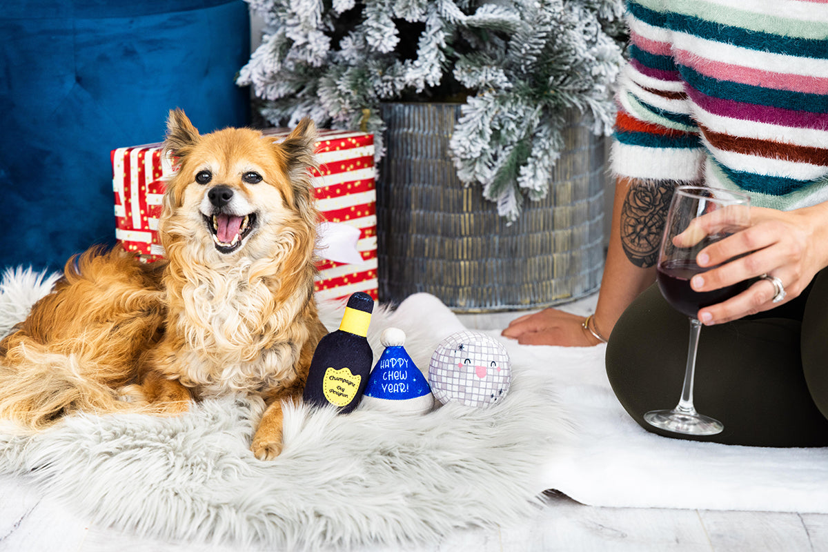 Pearhead Happy Chew Year Dog Toy 3pk