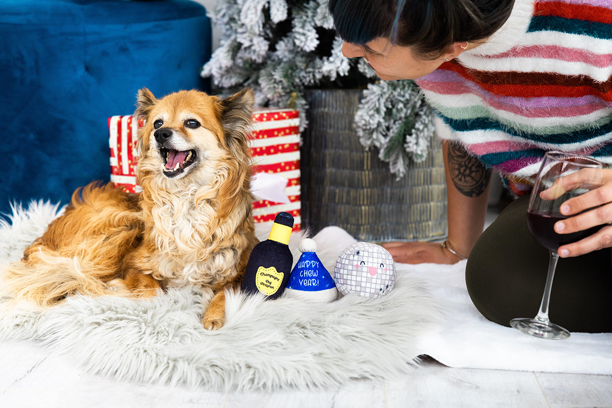 Pearhead Happy Chew Year Dog Toy 3pk