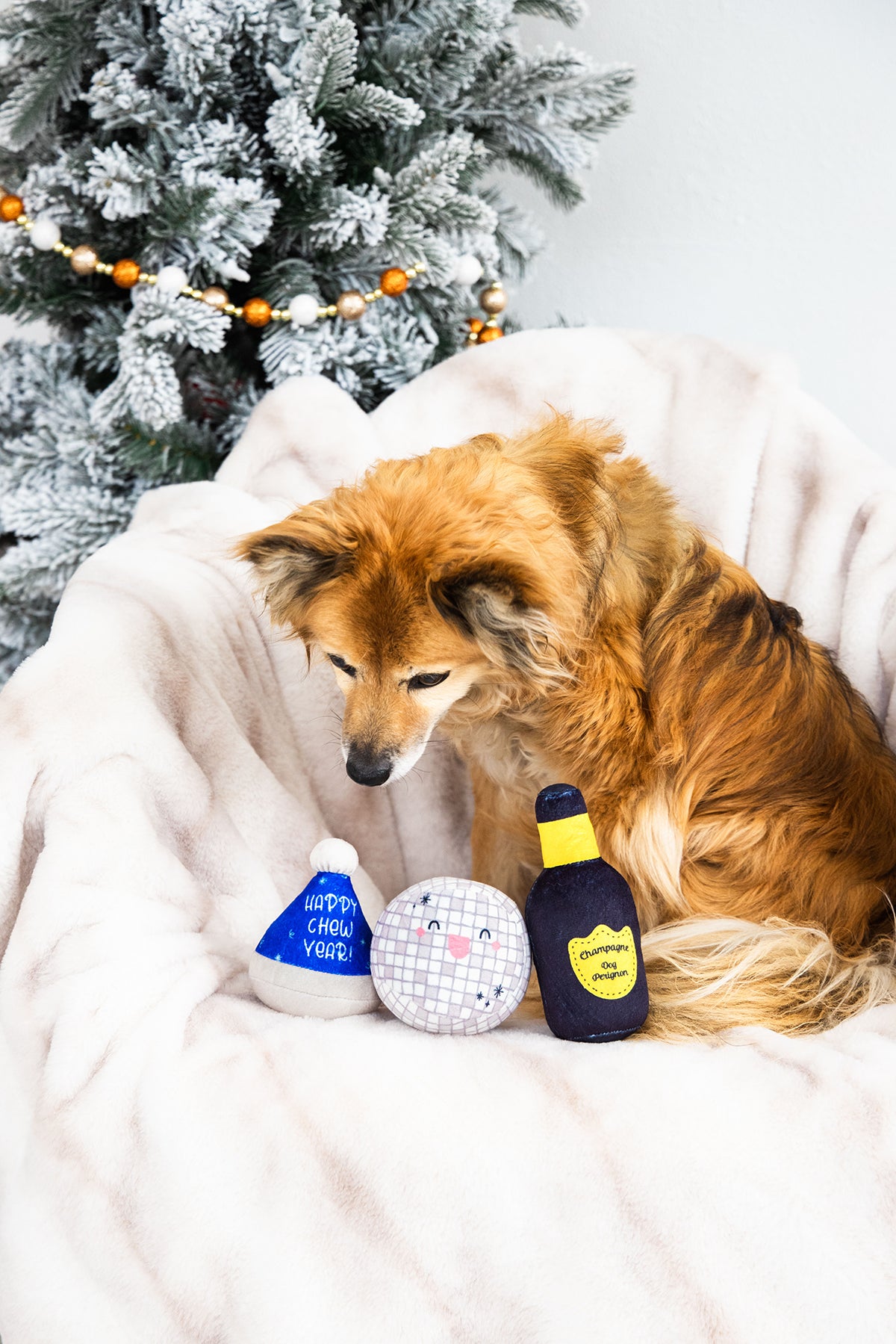 Pearhead Happy Chew Year Dog Toy 3pk