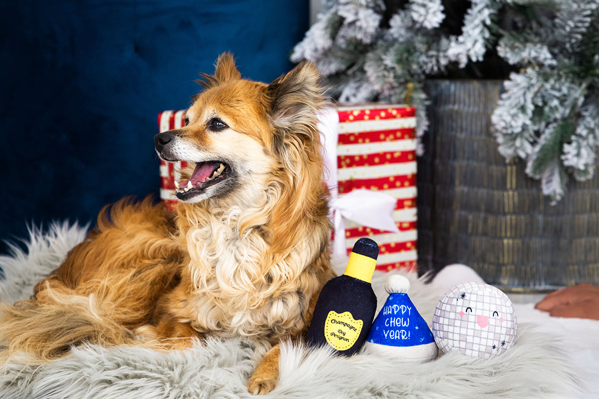 Pearhead Happy Chew Year Dog Toy 3pk
