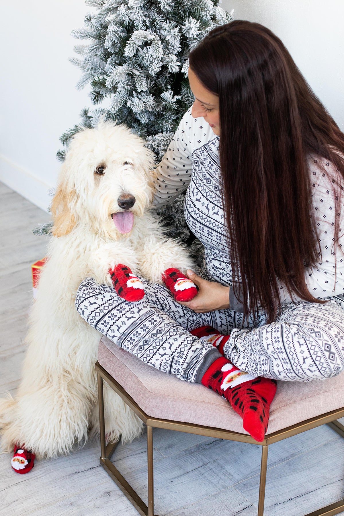Pearhead Human and Dog Sock Set Buffalo Check Santa
