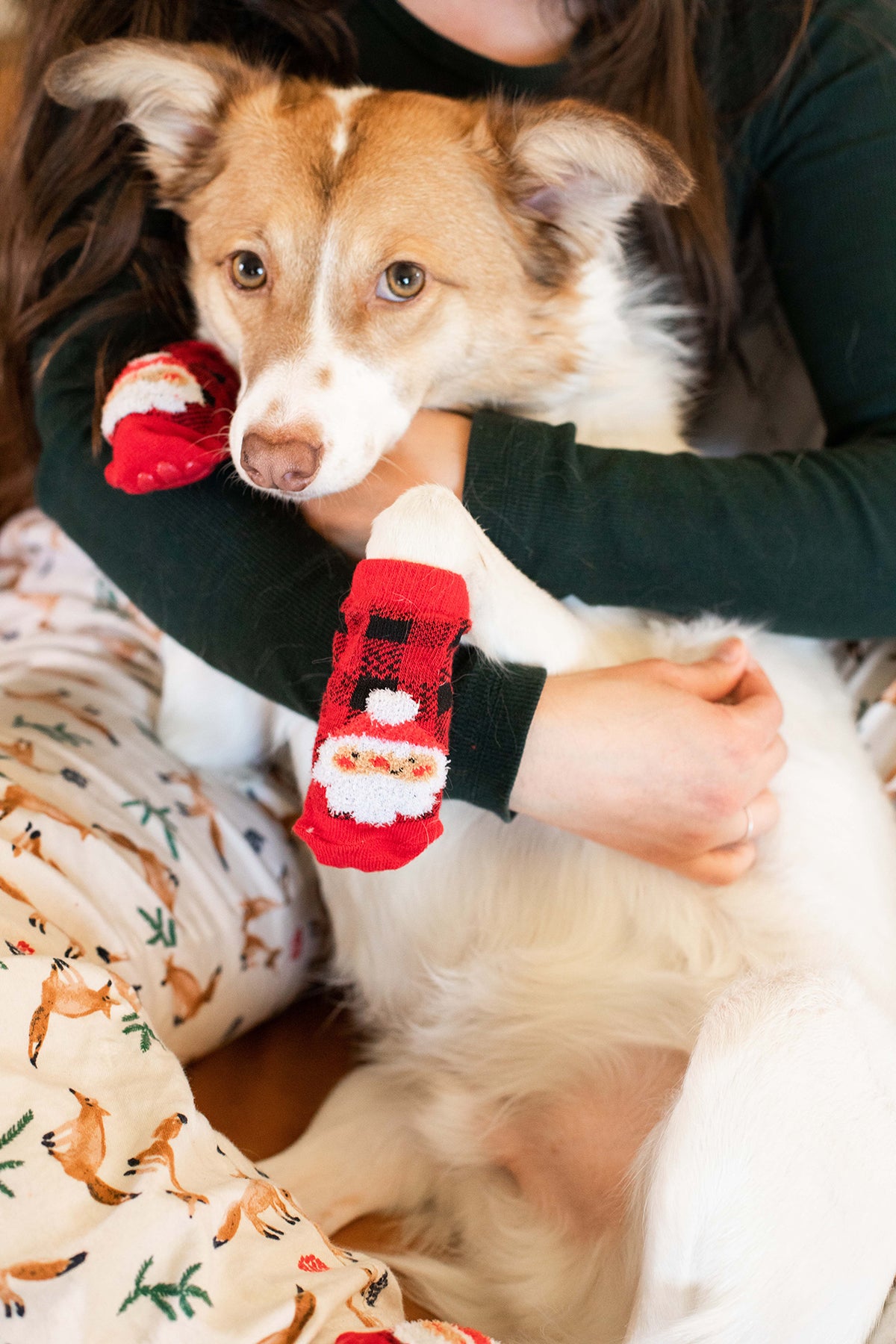 Pearhead Human and Dog Sock Set Buffalo Check Santa