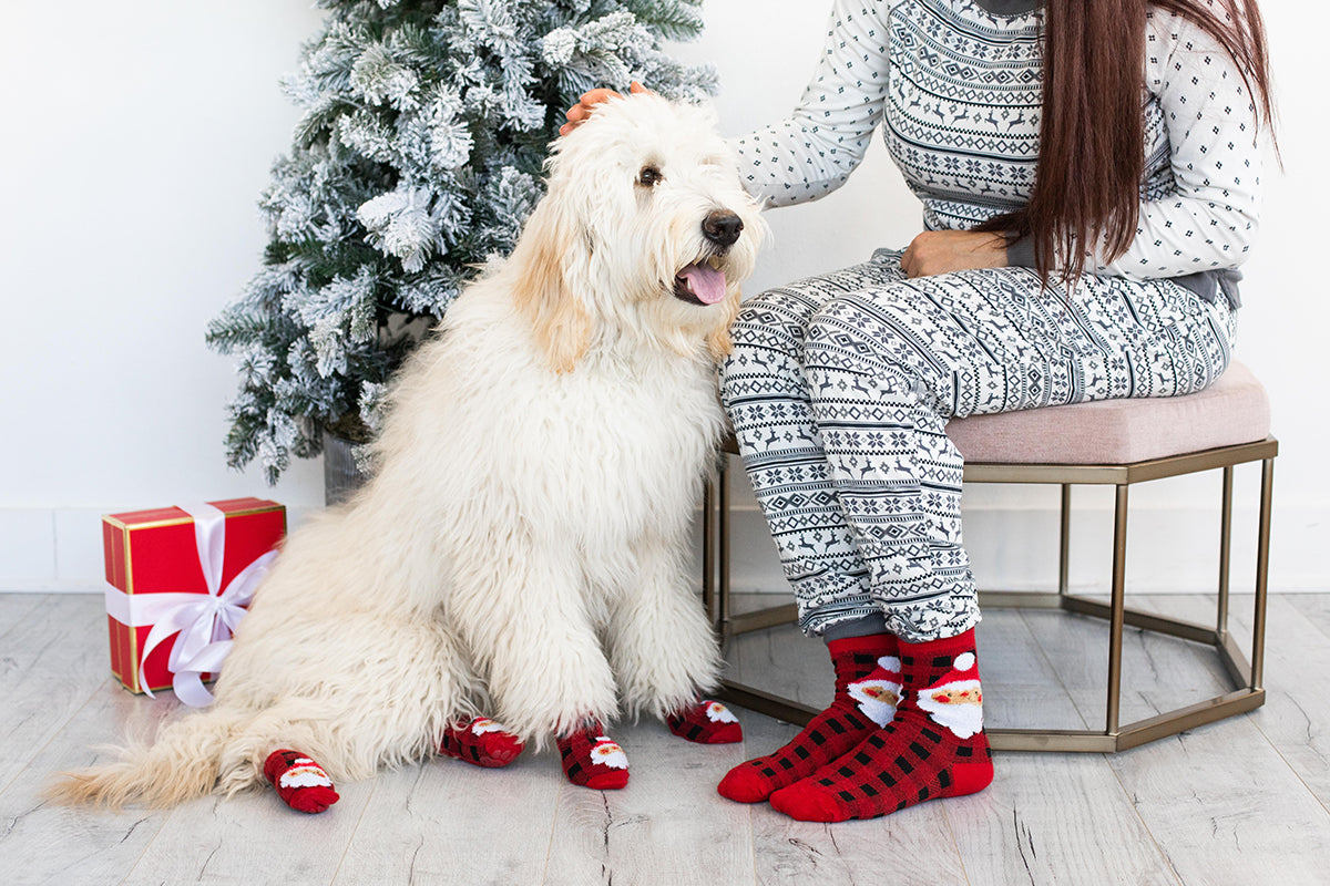 Pearhead Human and Dog Sock Set Buffalo Check Santa