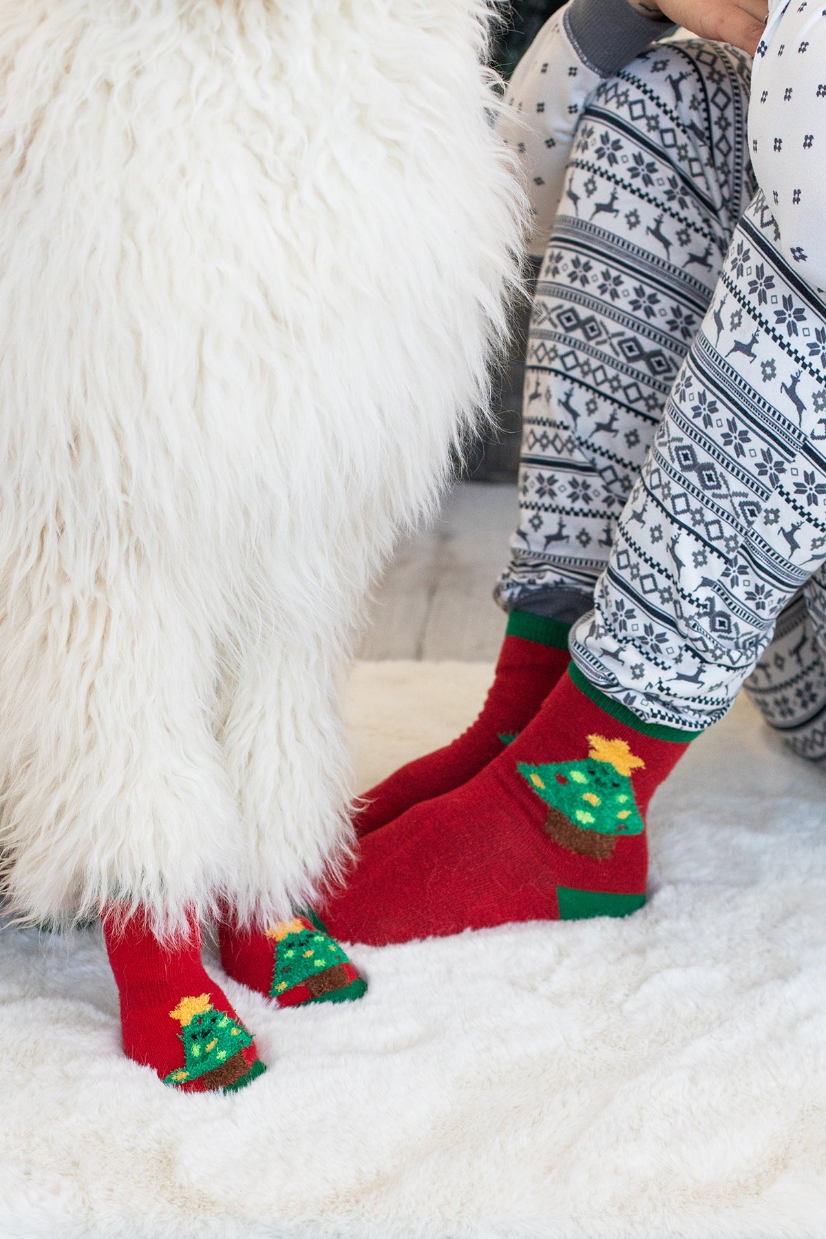 Pearhead Holiday Tree Human and Dog Sock Set 2pc